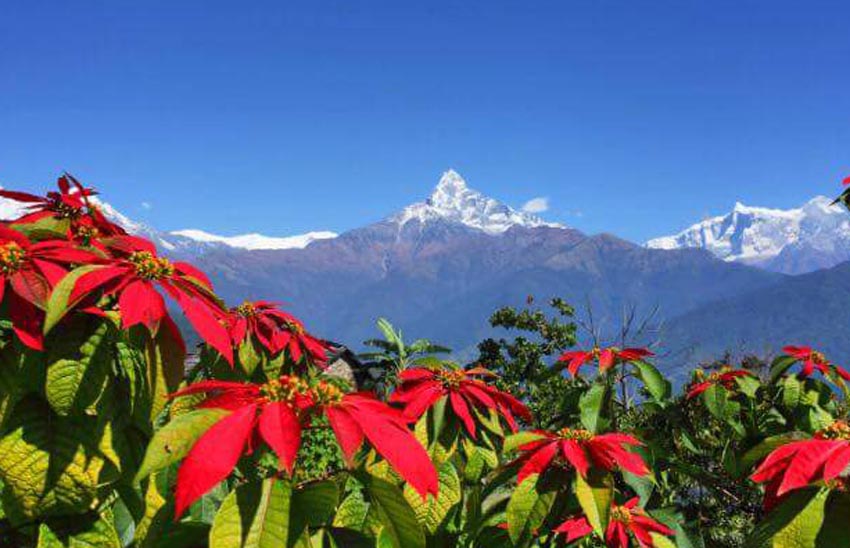 NEPAL AND TOURISM PROMOTION